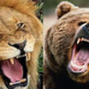 Meet your Posher, Spiritbros